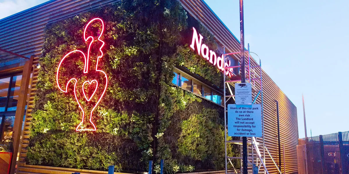 Nandos_Cambridge UK_SMI National_ANS.jpg
