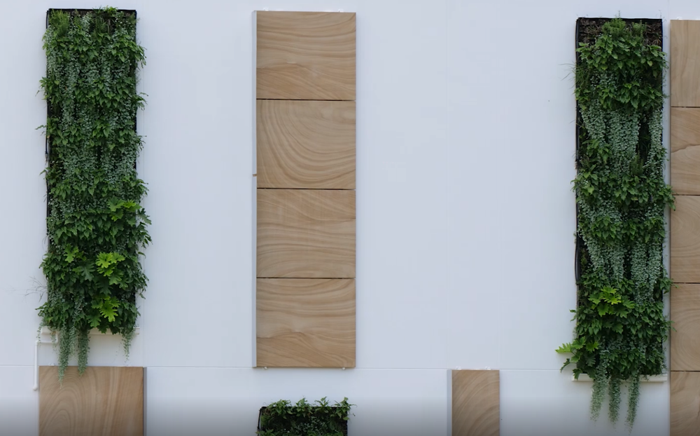 Living Wall 1.PNG