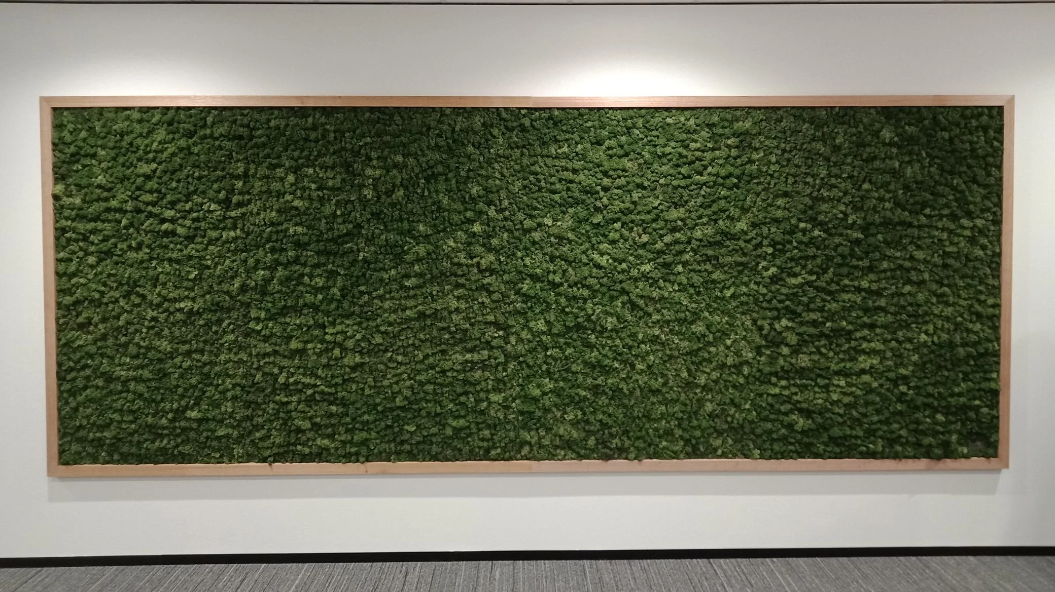 Moss+Wall+-+Kaufland+1.jpg
