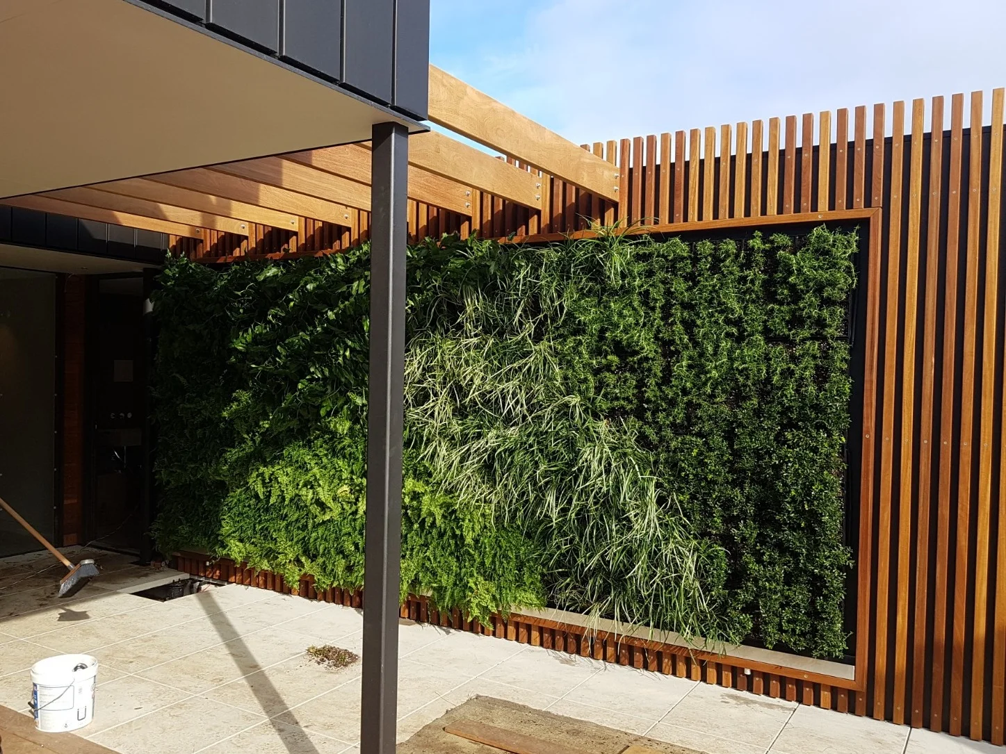 Living+Wall+-+Frank+Bienefelt+-+Residential+2.jpg