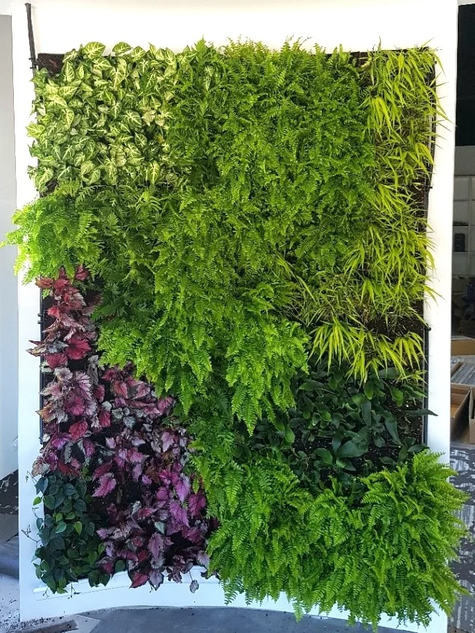 SMI+Living+Walls_Coverite_20180118_155556.jpg