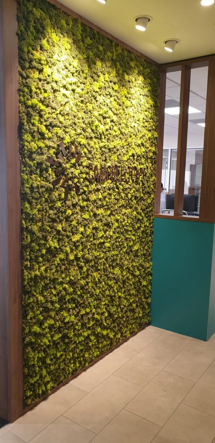 artificial plant walls on Campbelltown Council Living Walls Moss Art Artificial Plant Experts Smi National