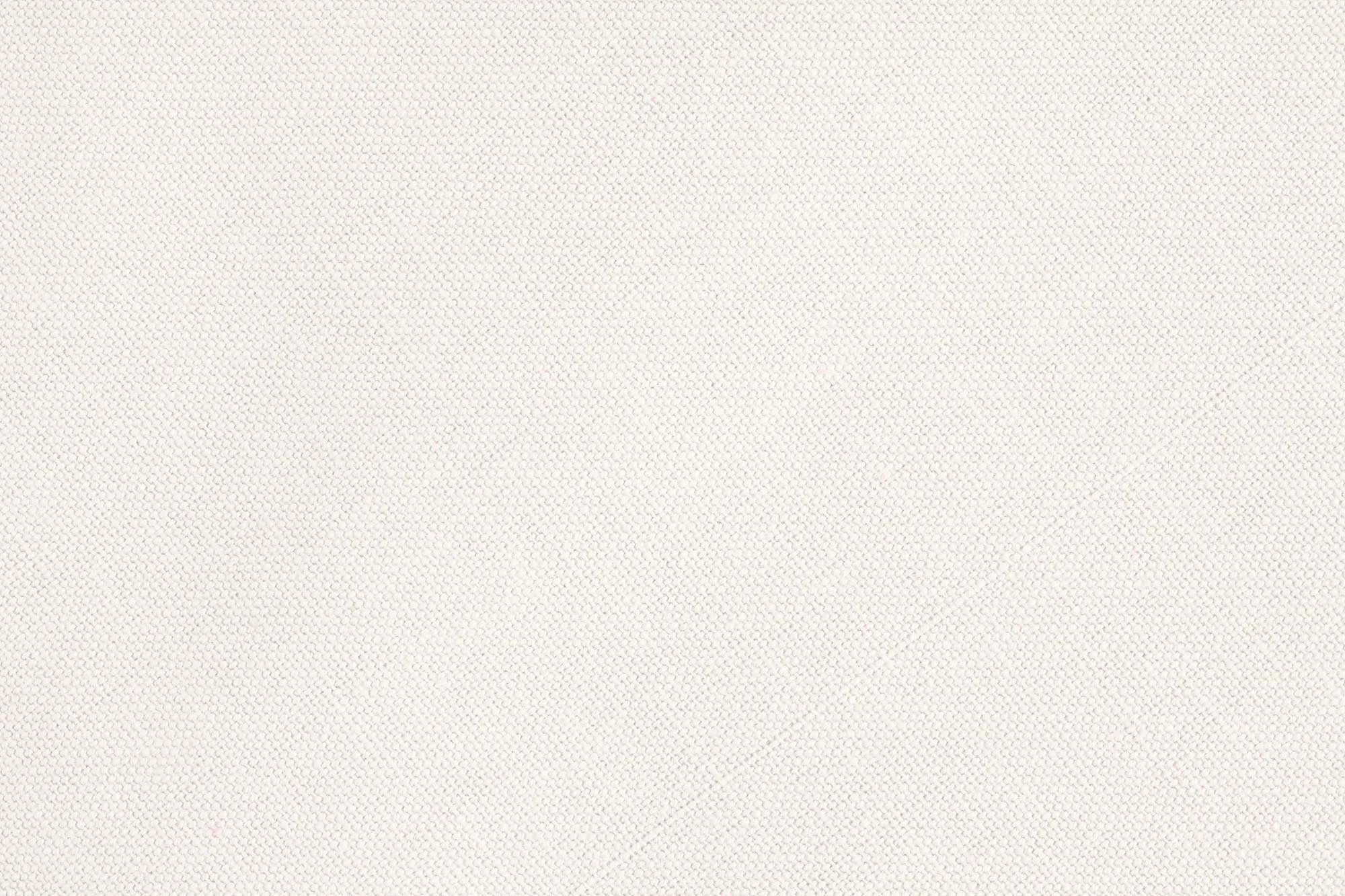 CANVAS BG.jpg