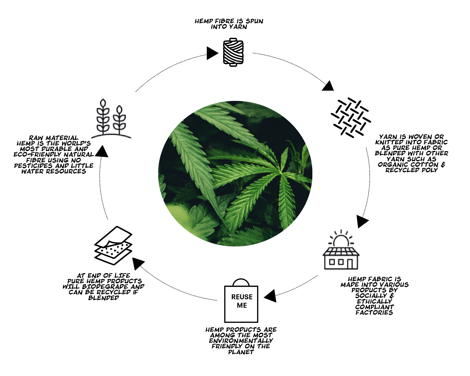 HEMP-INFOG-ONLY .png