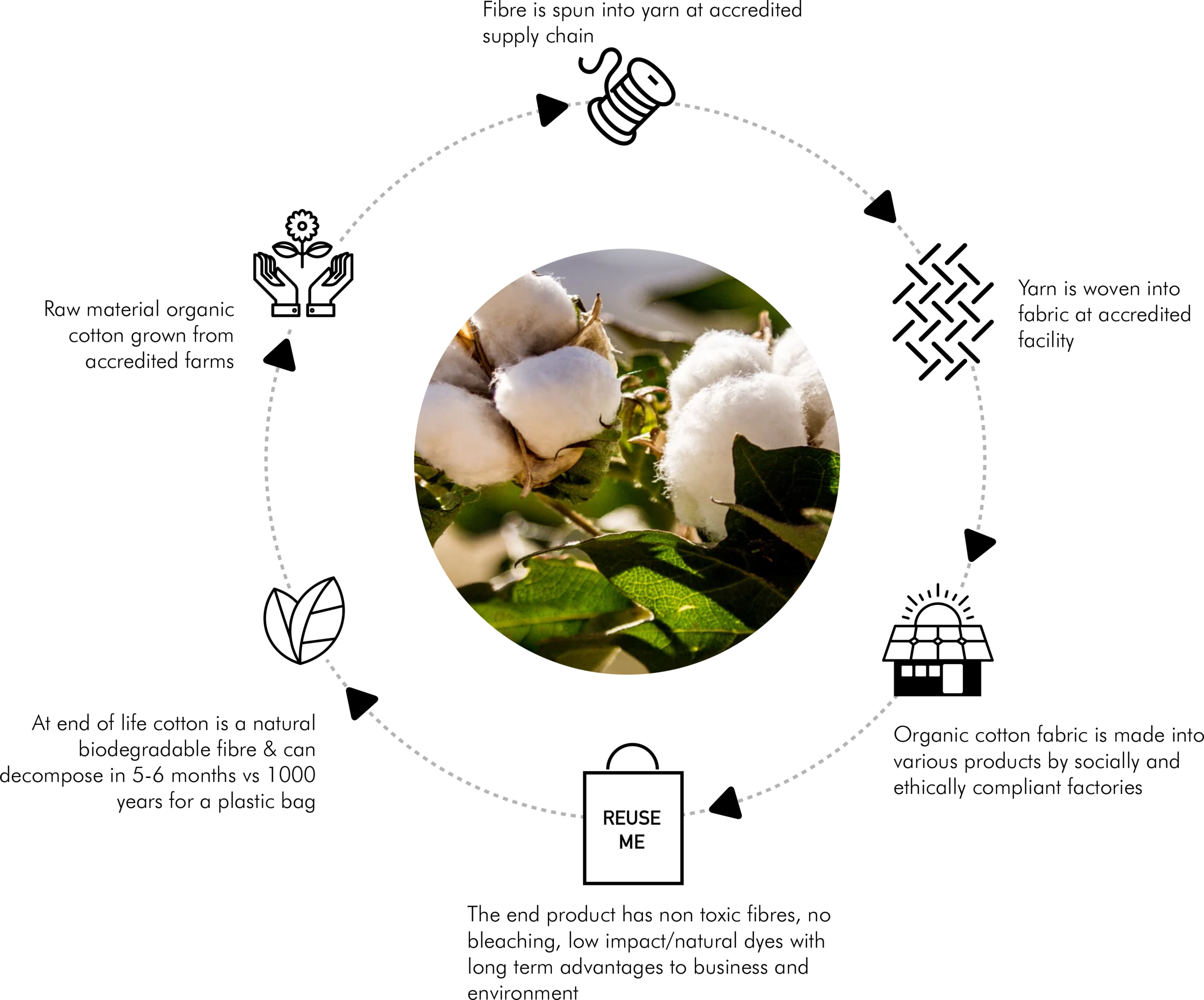 ORGANIC COTTON LIFECYCLE — Direct to Source