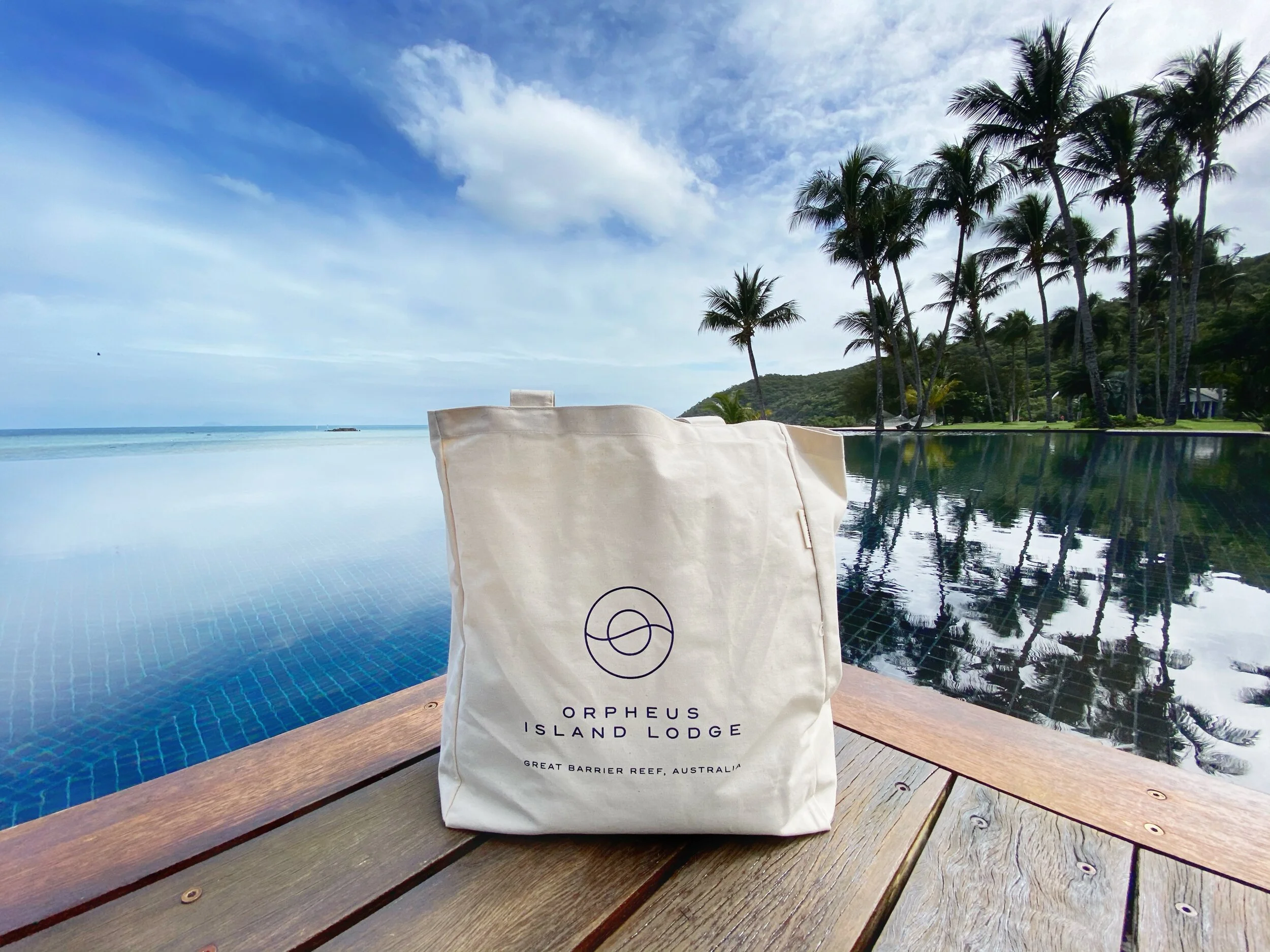 Orpheus Tote Picture.JPG
