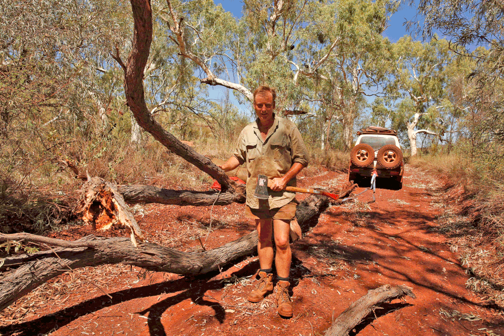  A fallen tree that had to be cleared from the track to my campsite in a remote section of the Western Hamersley Range in early 2014 following the passage of a cyclone. 