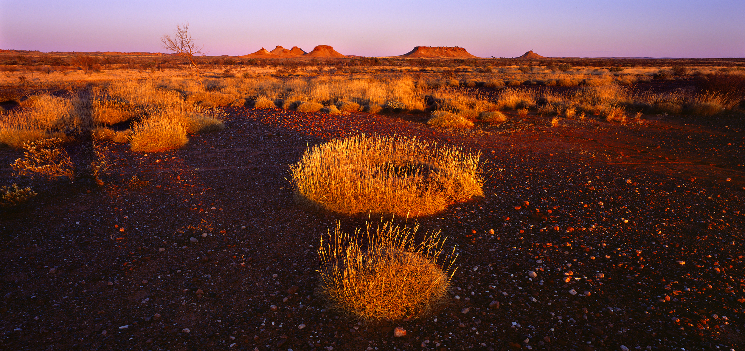  Spinifex Circles, Little Sandy Desert, Western Australia, 2008.&nbsp; Edition of 3. 