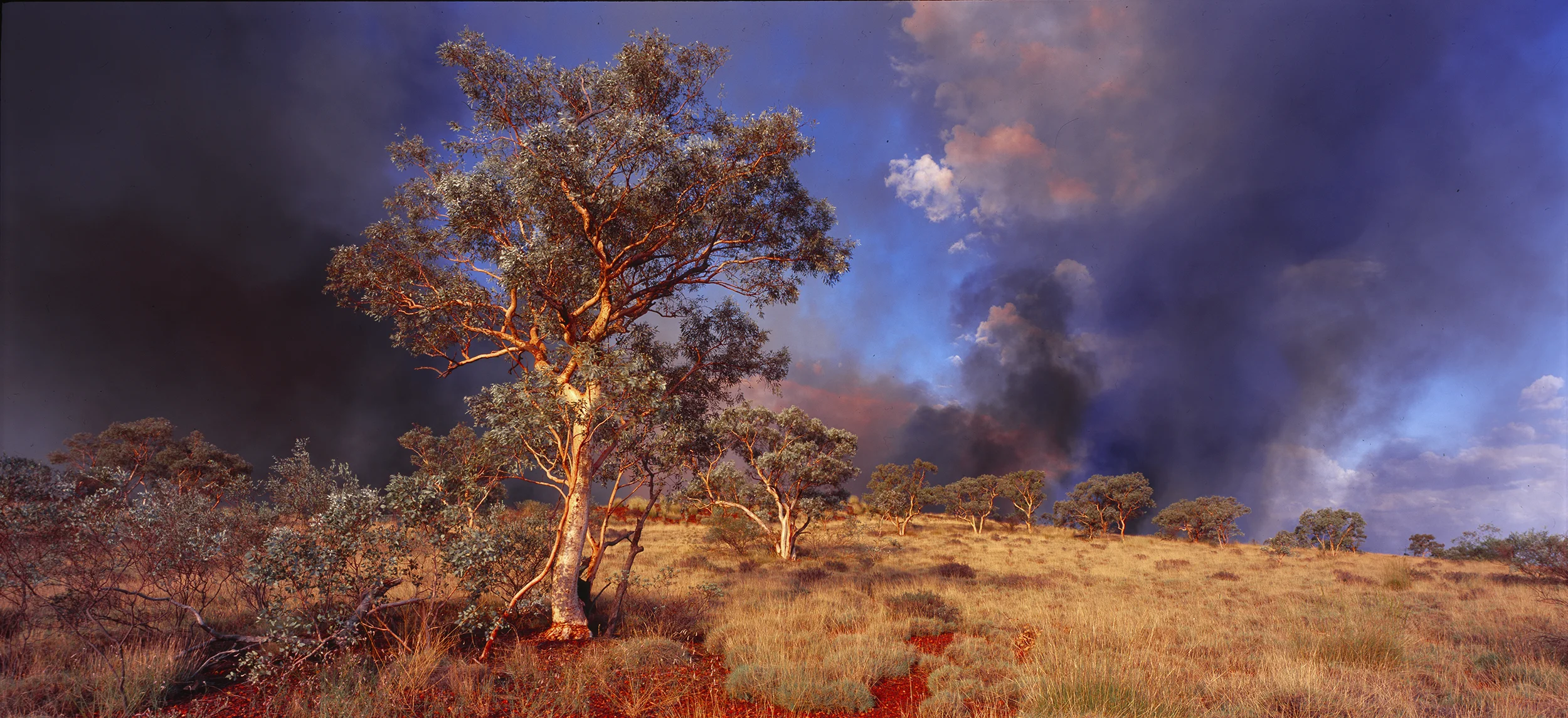 Spinifex Fire, Newman, Western Australia, 2013.