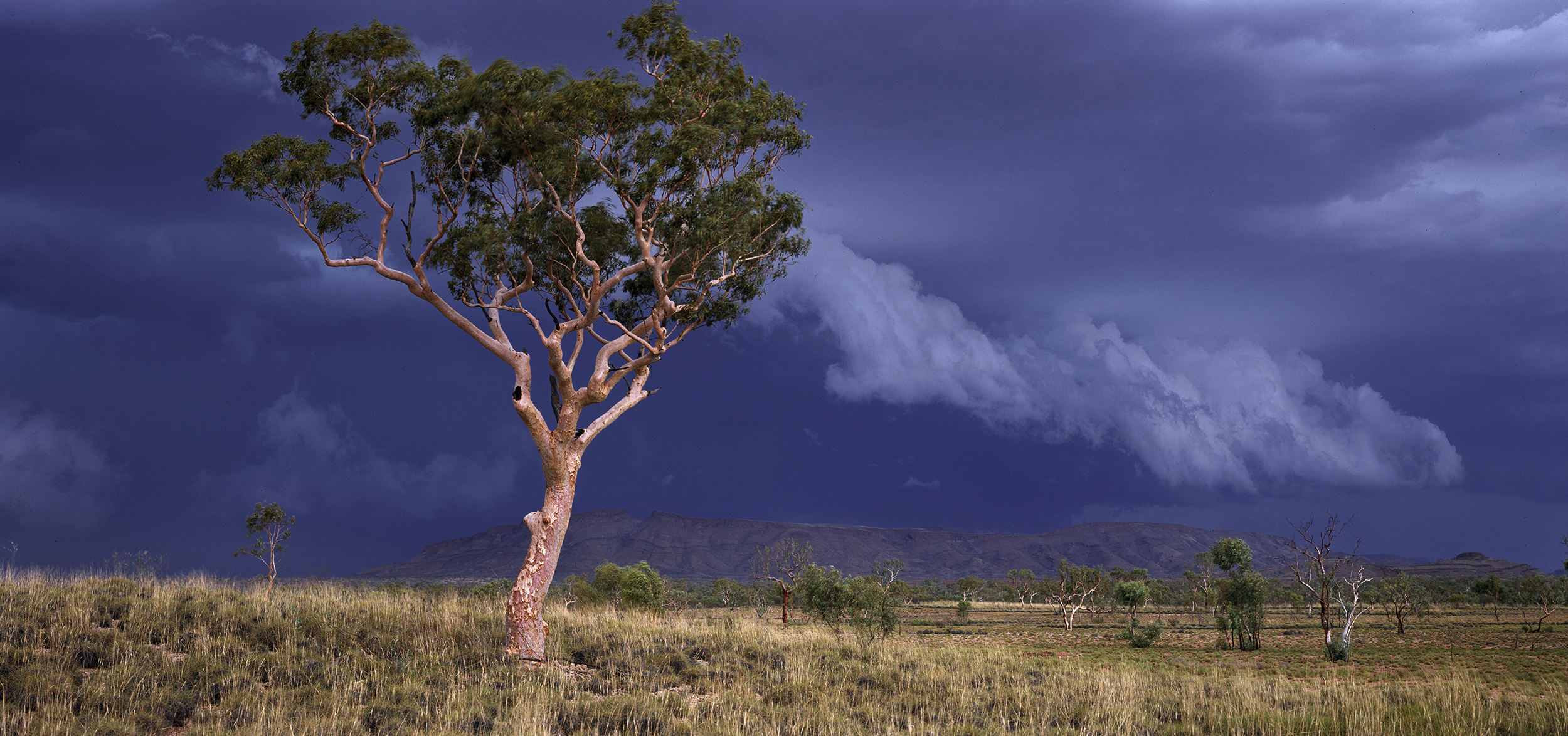  Summer Storm Squall, Near Mt Farquhar, Hamersley Range, Western Australia, 2015.&nbsp; Edition of 3. 