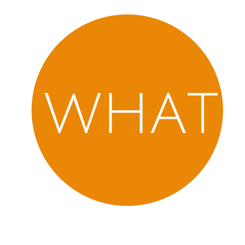What (4).png