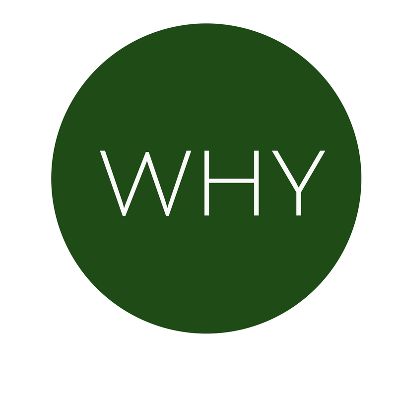 What (6).png