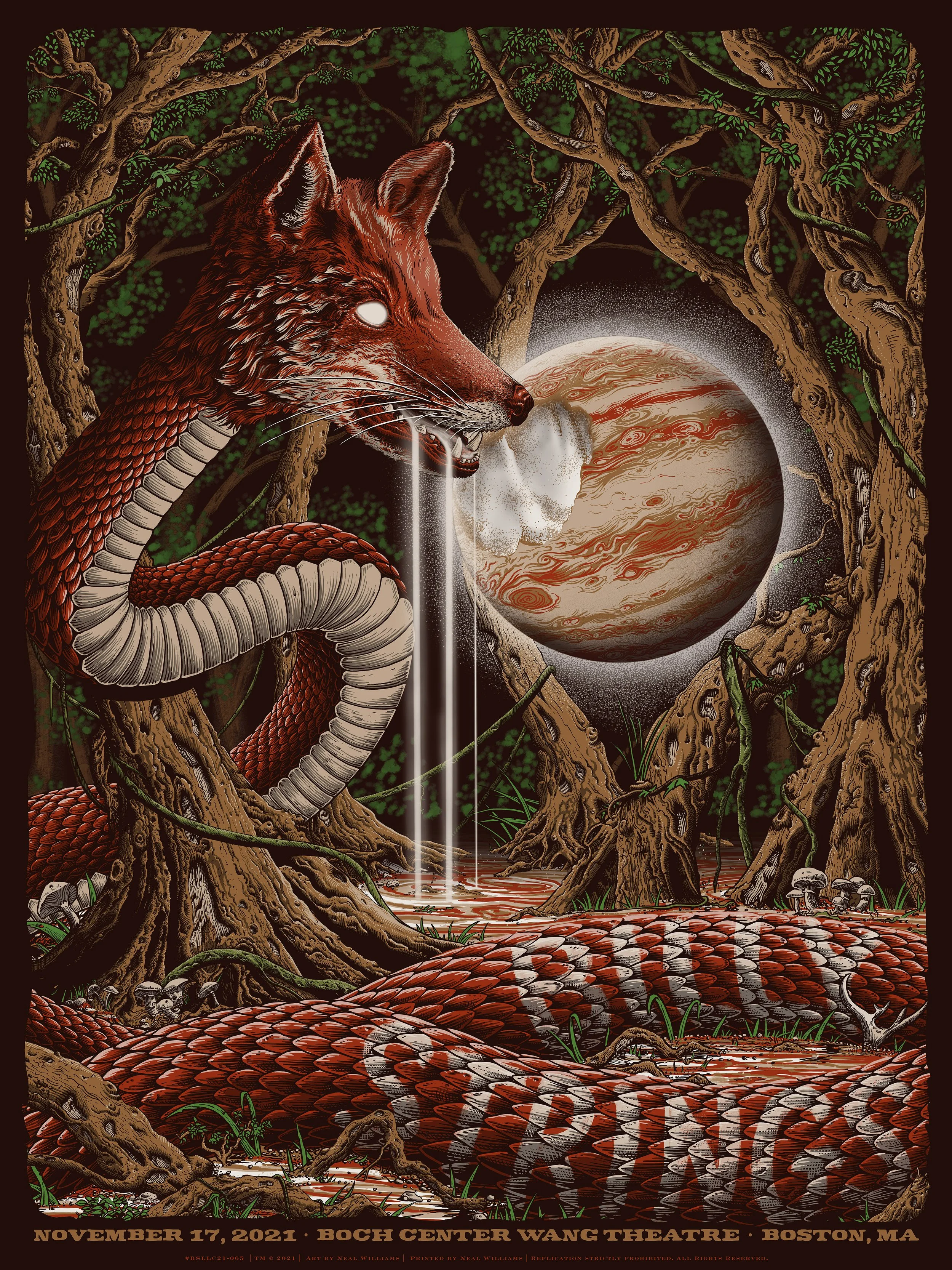 Billy Strings Boston Poster v1.jpg