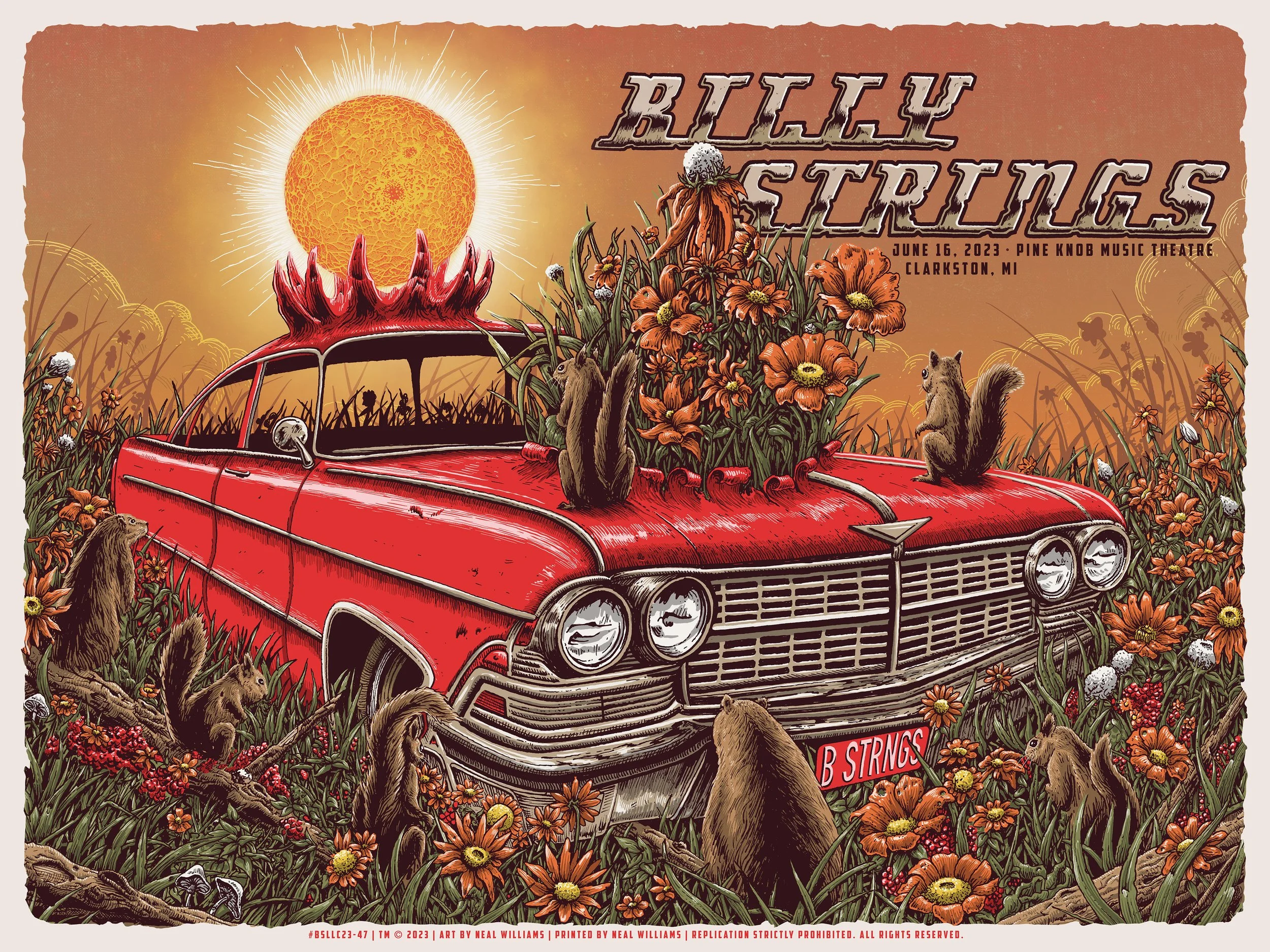 Billy Strings MI Reg v1.jpg