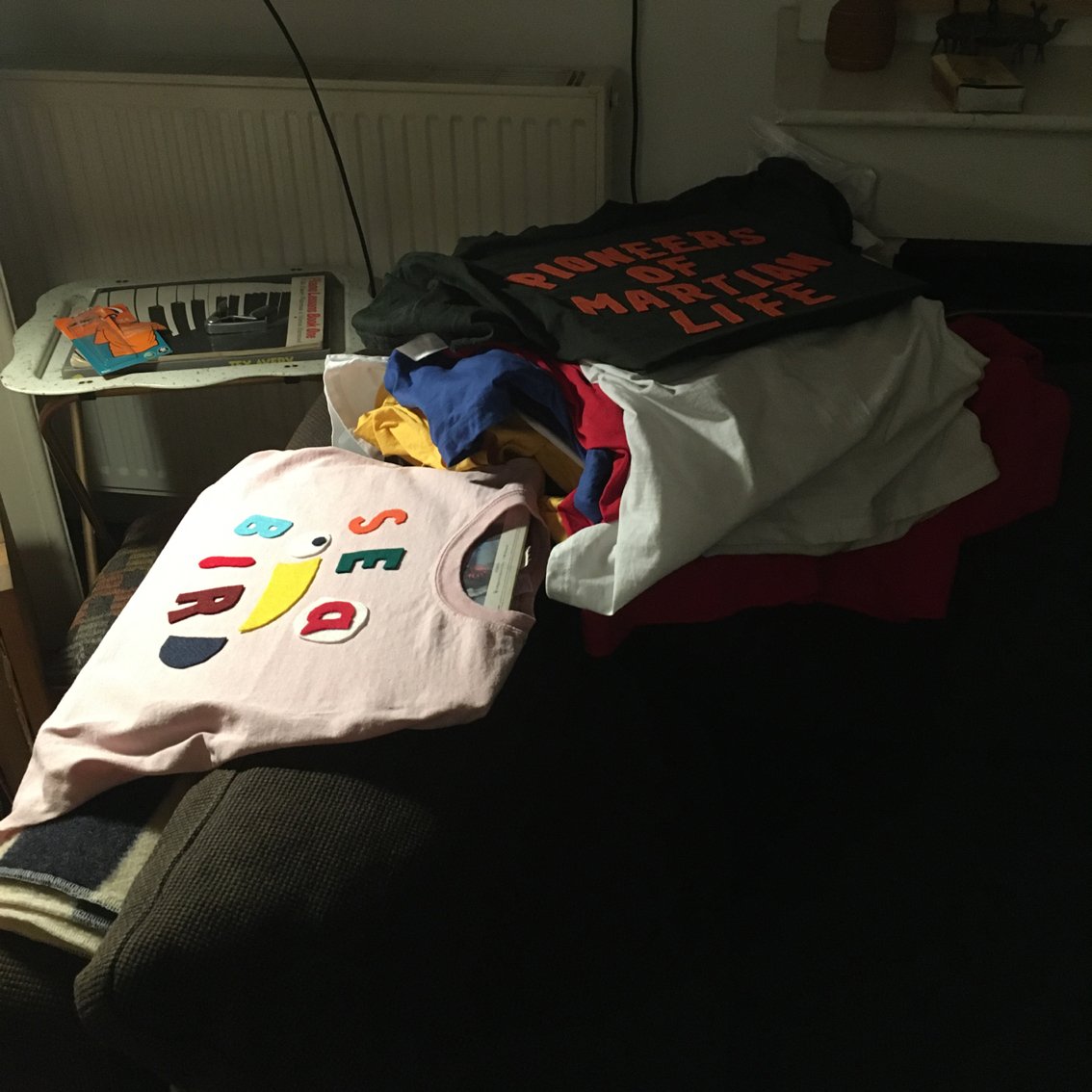 thecultofless2_Teeshirtssurcanap1.jpg
