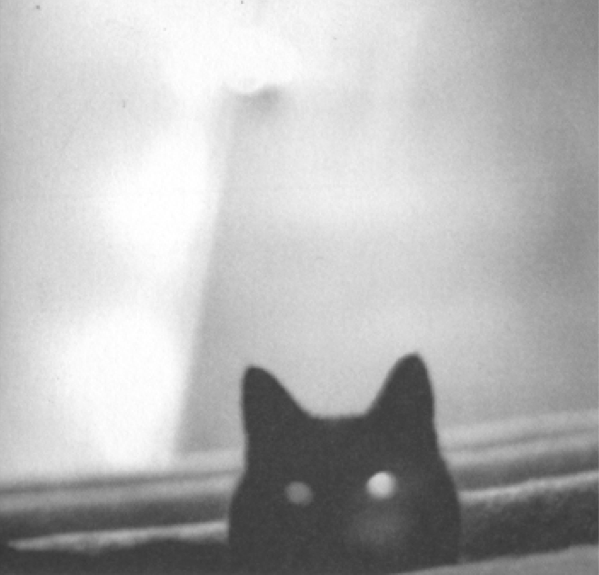 Invisible Friend - Precinct 9 Cover.png