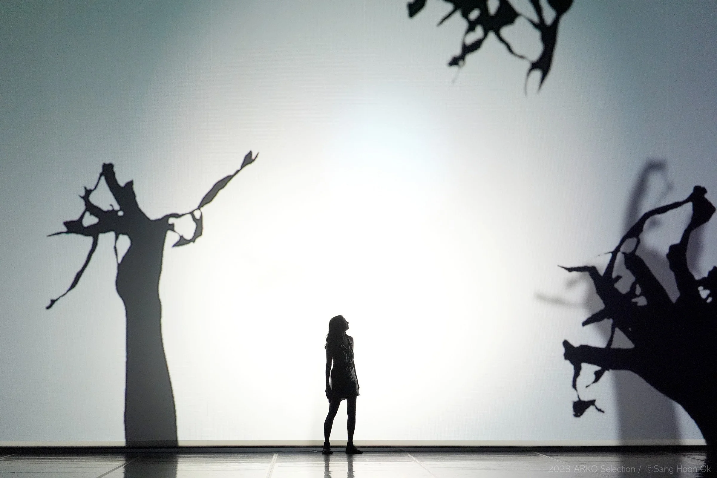 Where is the Rabbit? / Daehakro Grand Theatre (2024) 