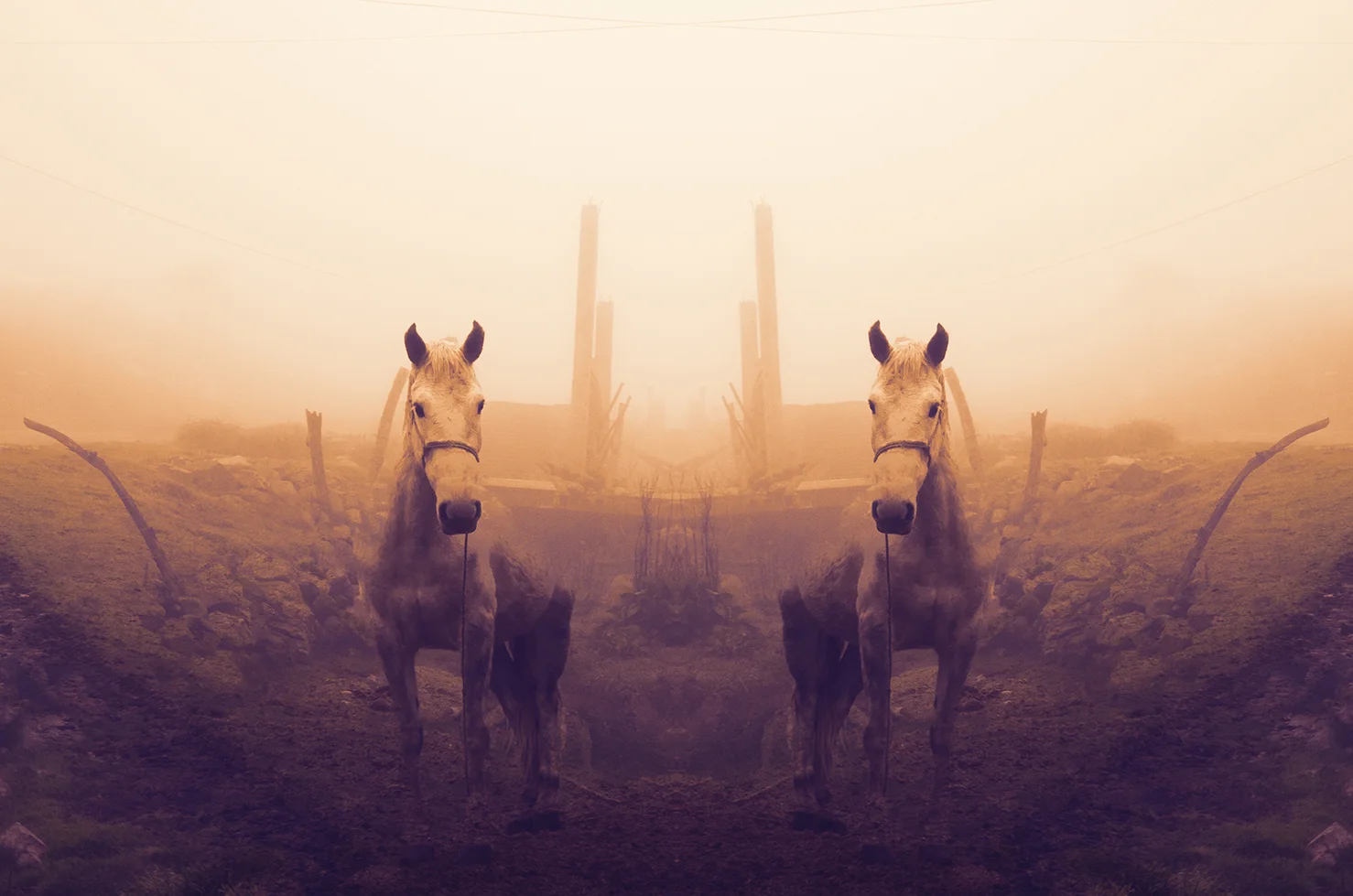 Atrax un fragmento de mi propia historia sin fin