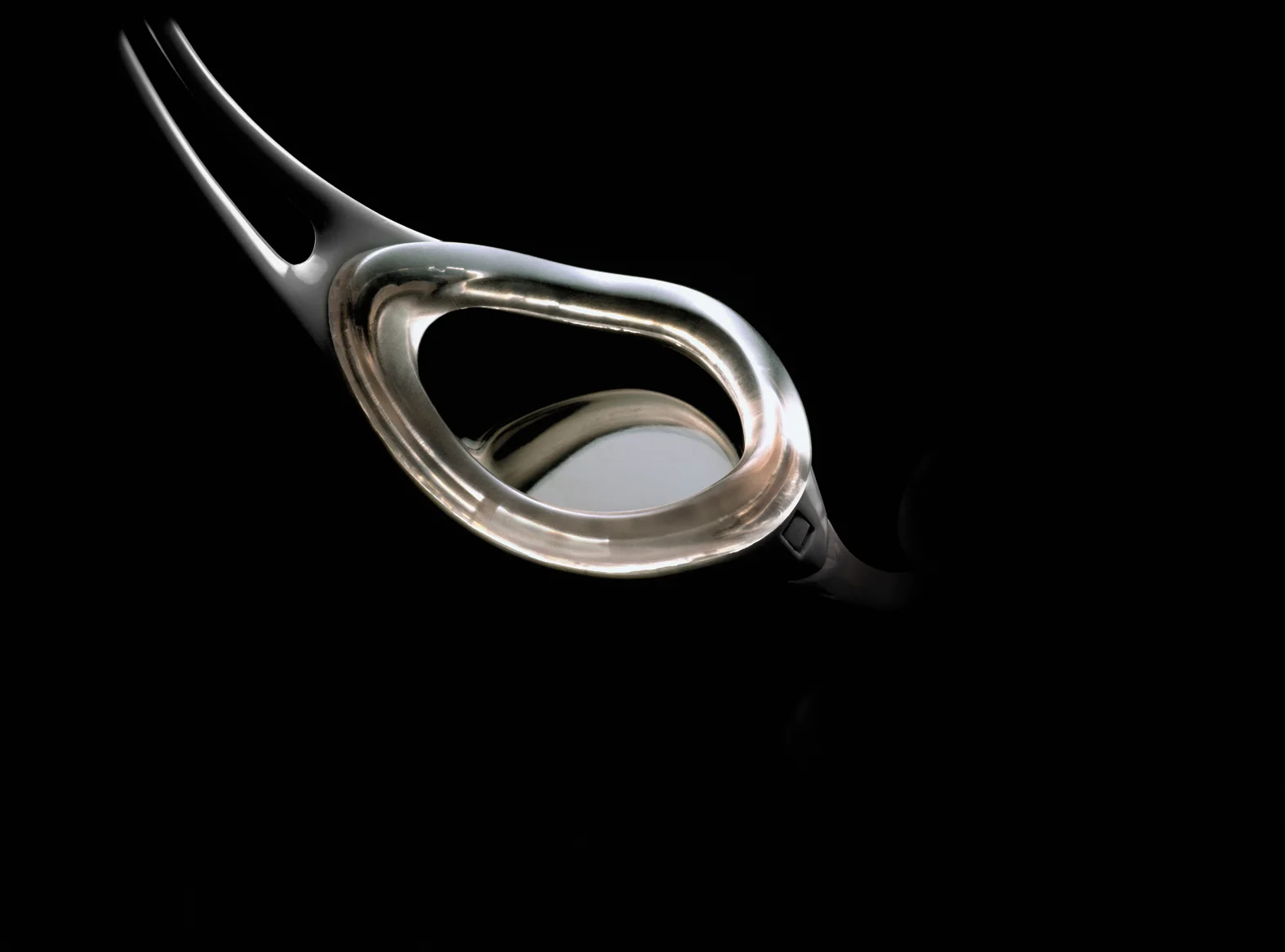 SP7- detail crop (1).jpg