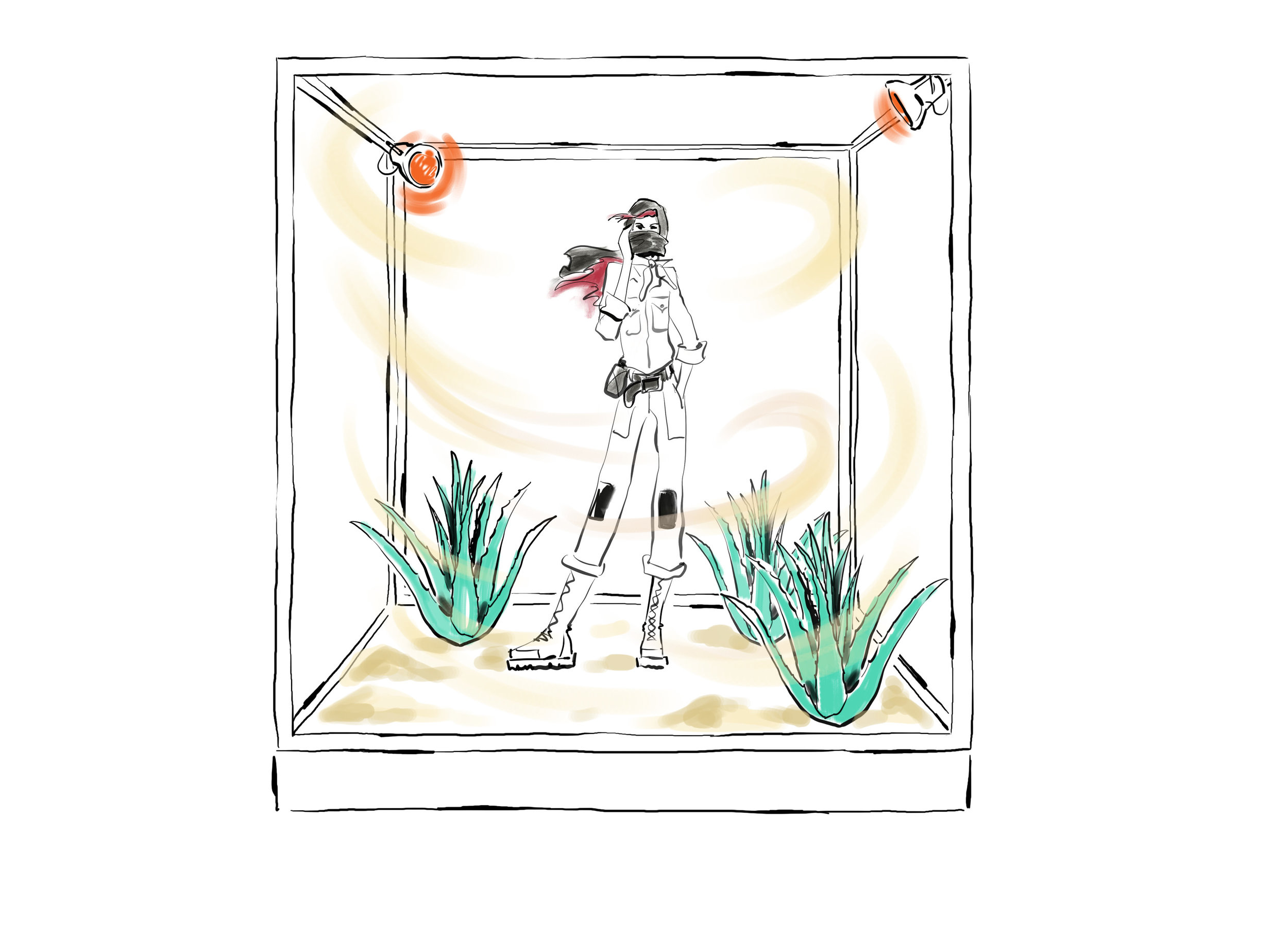 1 Aloe box[2].jpeg