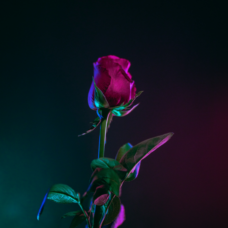 Prestige A stunning, soft floral, powdery fragrance and a Tribal Unicorn favourite! Think romance and a trail of fairy footsteps. Strength ππππ (Utterly romantic)