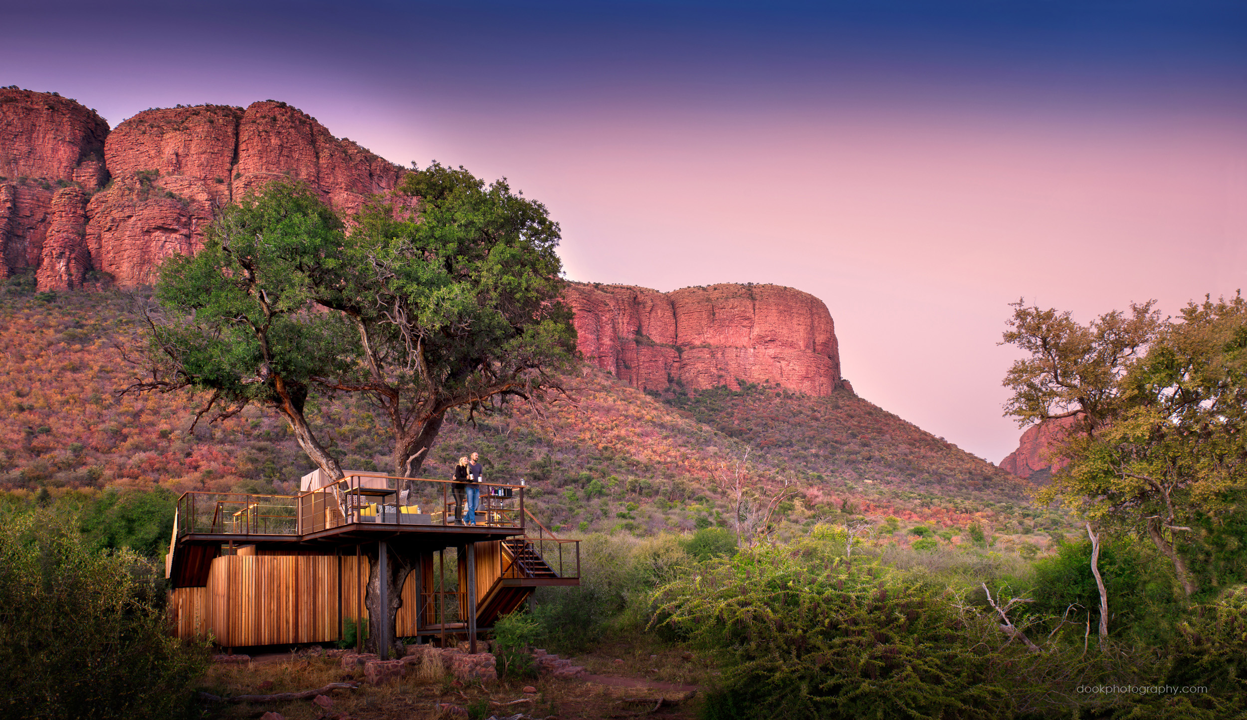 Thabametsi Tree House