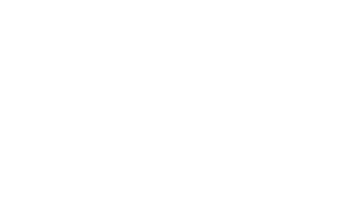 The Movement Clinic 