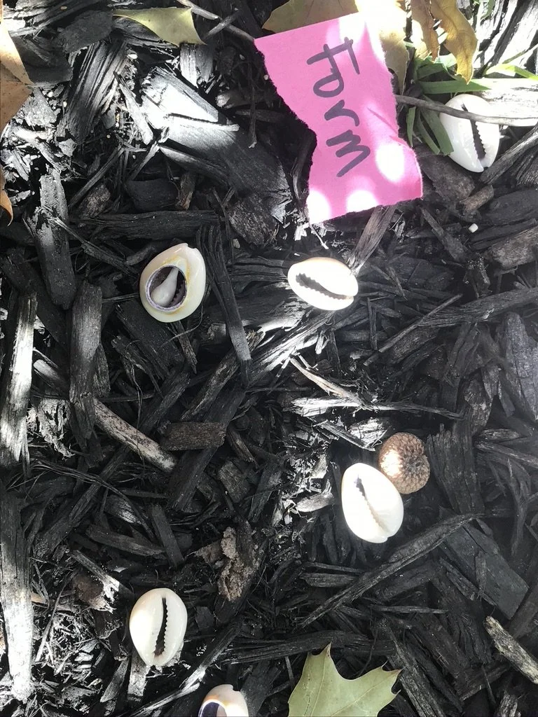 98493BA3-7C03-4FC7-9C10-0F24FCBC78C2_1_105_c (1).jpeg