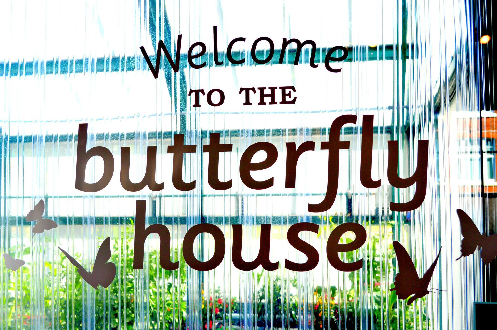 butterfly house southsea.jpg