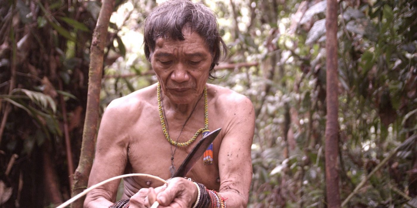 tawai-2.jpeg