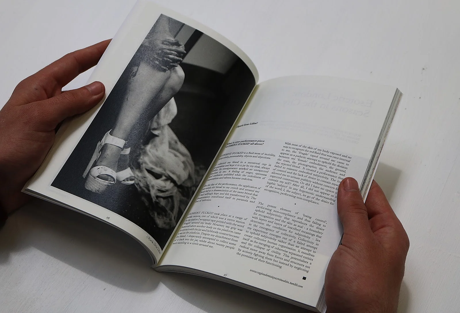 page spread image.jpg