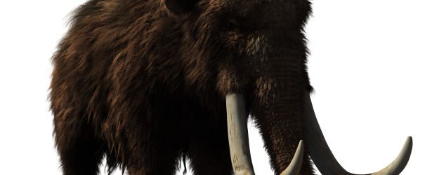 woolly-mammoth-cumberland house southsea