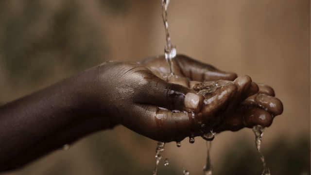 Health Is in Our Hands – the Relationship Between Handwashing, Infection, and Sepsis