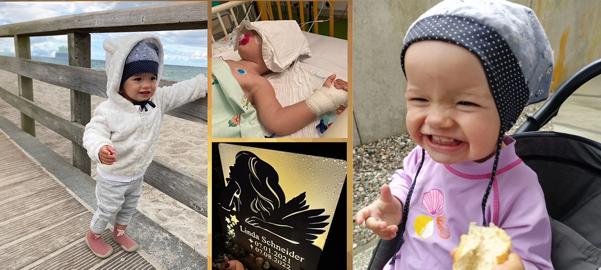 Linda's Story: A Mother's Fight for Better Vaccines and Sepsis Awareness