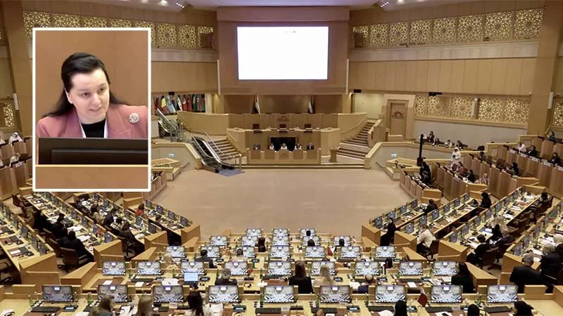 Dr. Jashi Addresses the Parliamentary Assembly of the Mediterranean (PAM) Forum