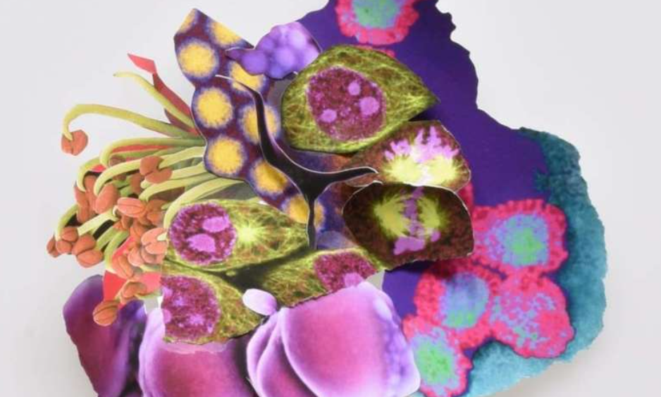 Creative Collage Workshop