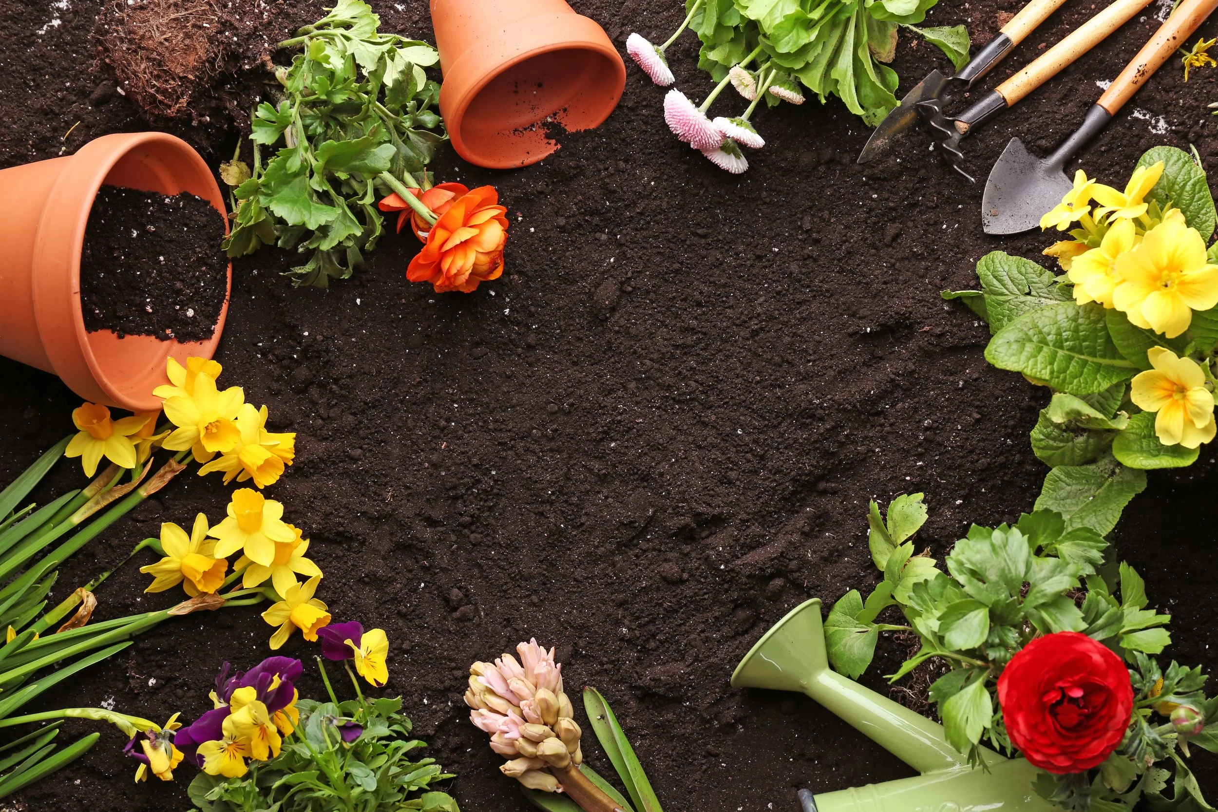 FLORISTRY: GROW YOUR OWN