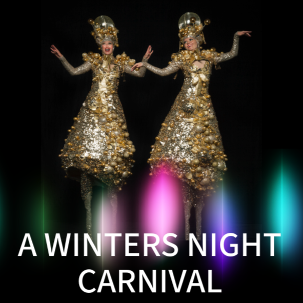Winters Night Carnival