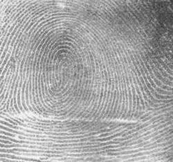 Fingerprint pattern