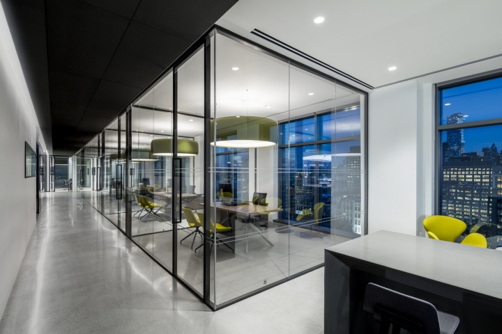 Biotronik-offices-by-Ted-Moudis-Associates-New-York-City-11.jpg