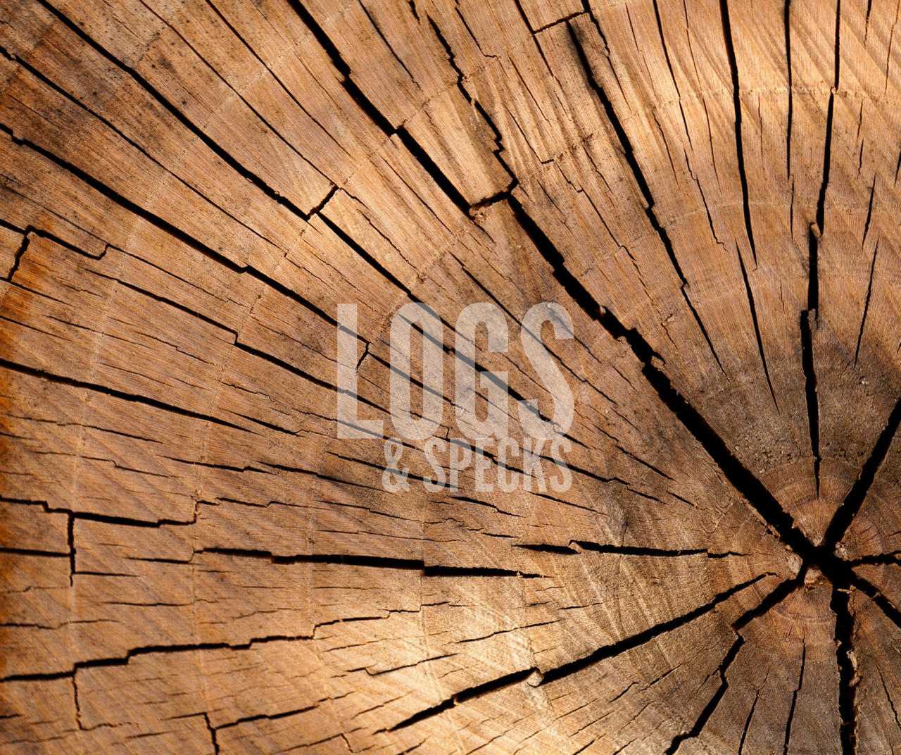 More on Logs and Specks