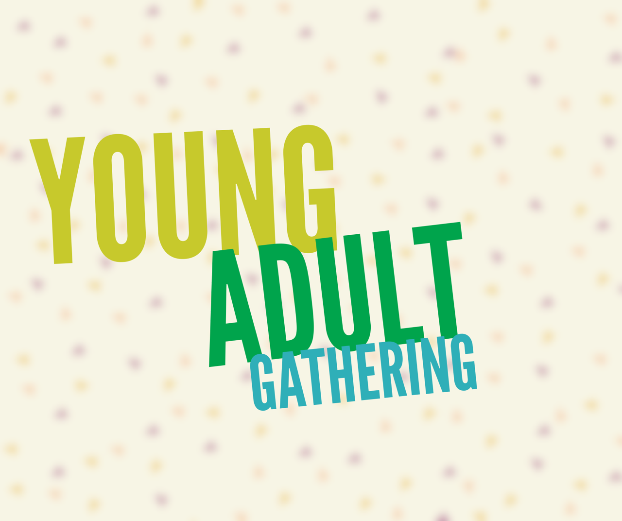 Young Adult Gathering