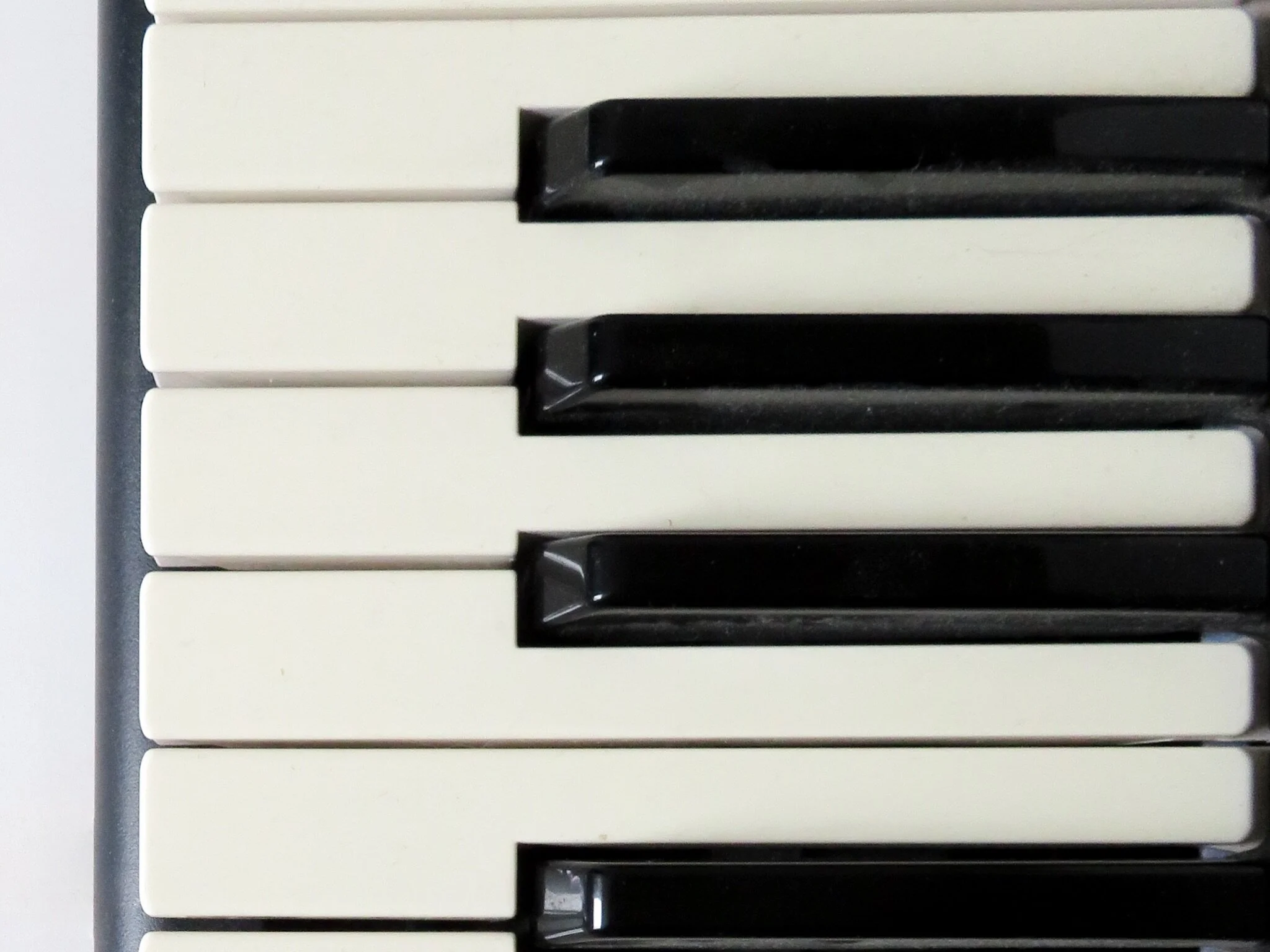 Lo How a Rose E'er Blooming