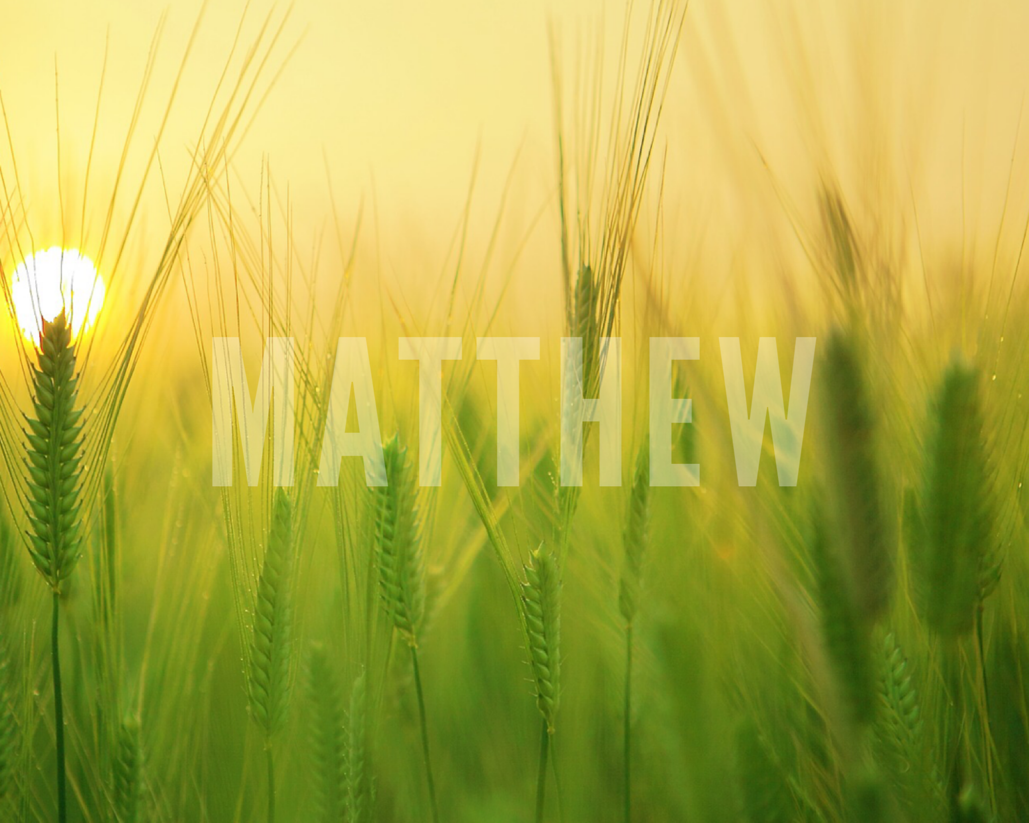 Palm Sunday