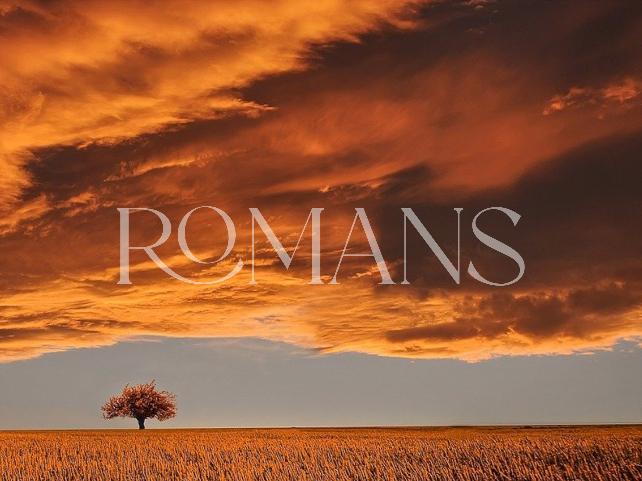 Enjoy Being Free of God's Judgment