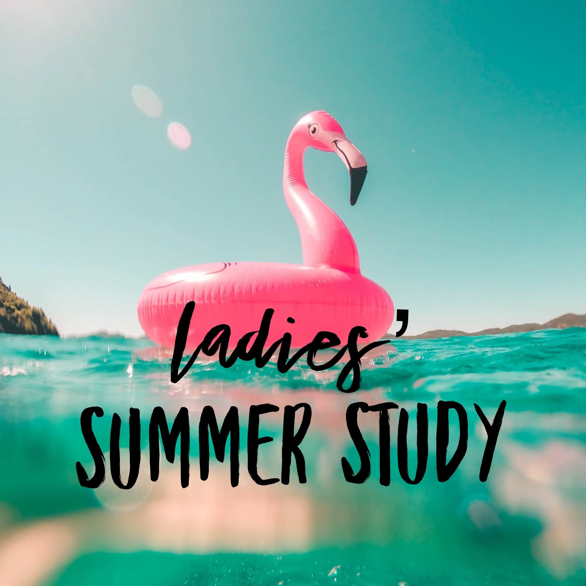 Ladies' Summer Study