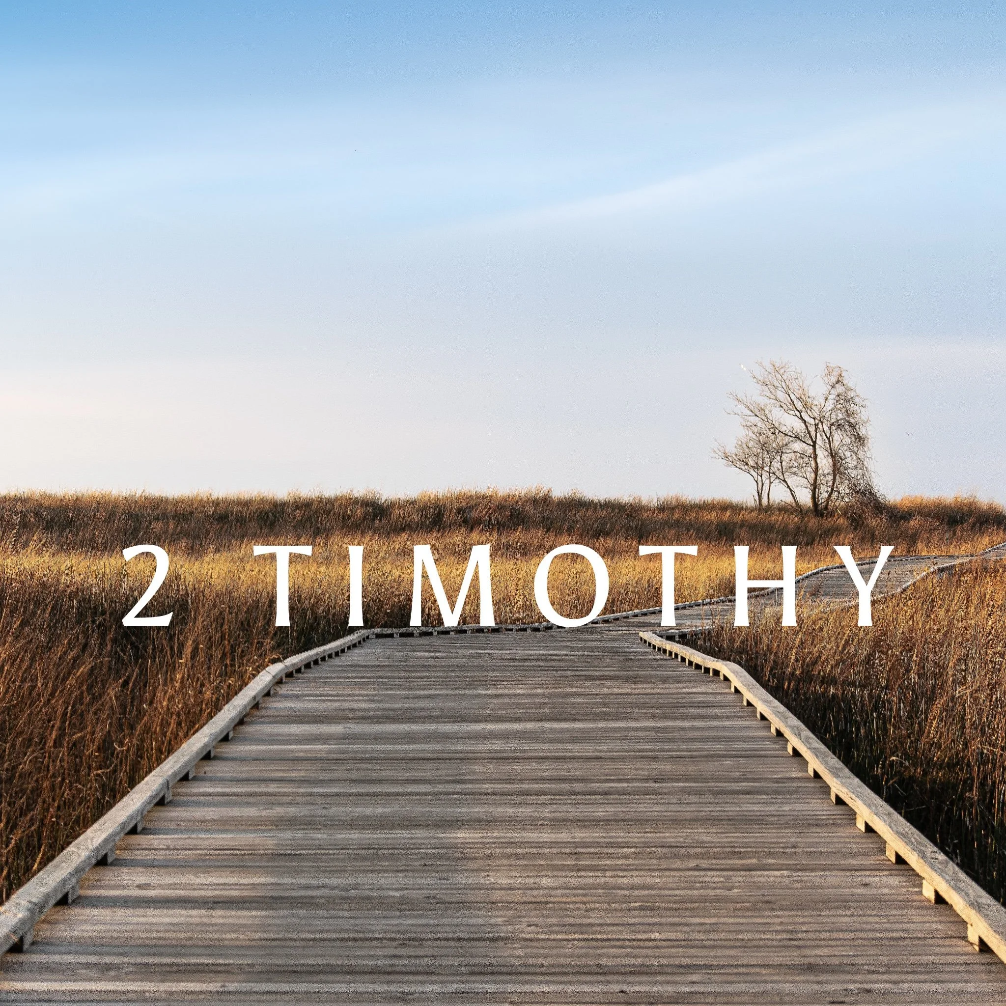 The Word, the Pastor, and the People