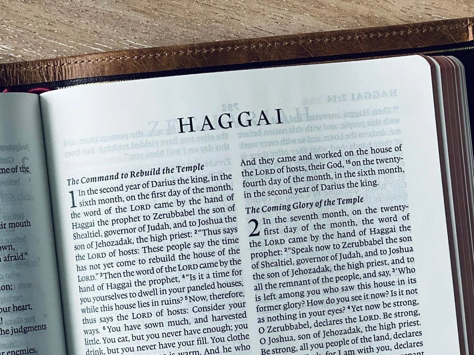 God Cares for His World