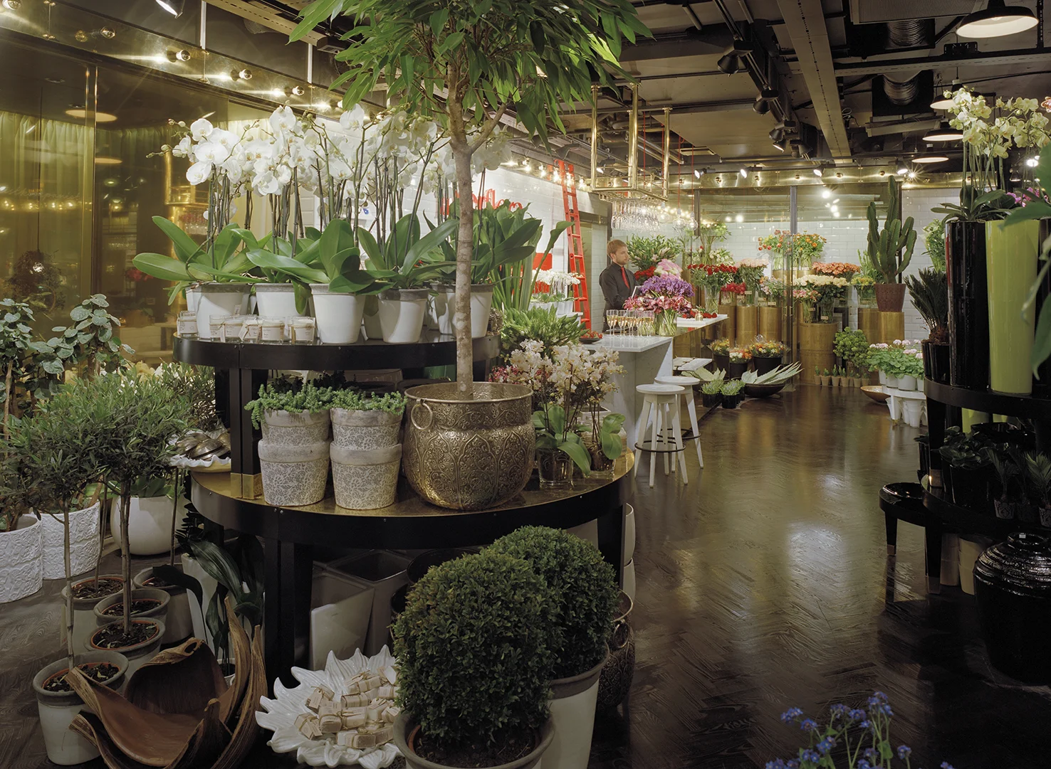 Plants display at Interflora flagship store in Stockholm.  Creative direction by Studio Peter Lundbergh.