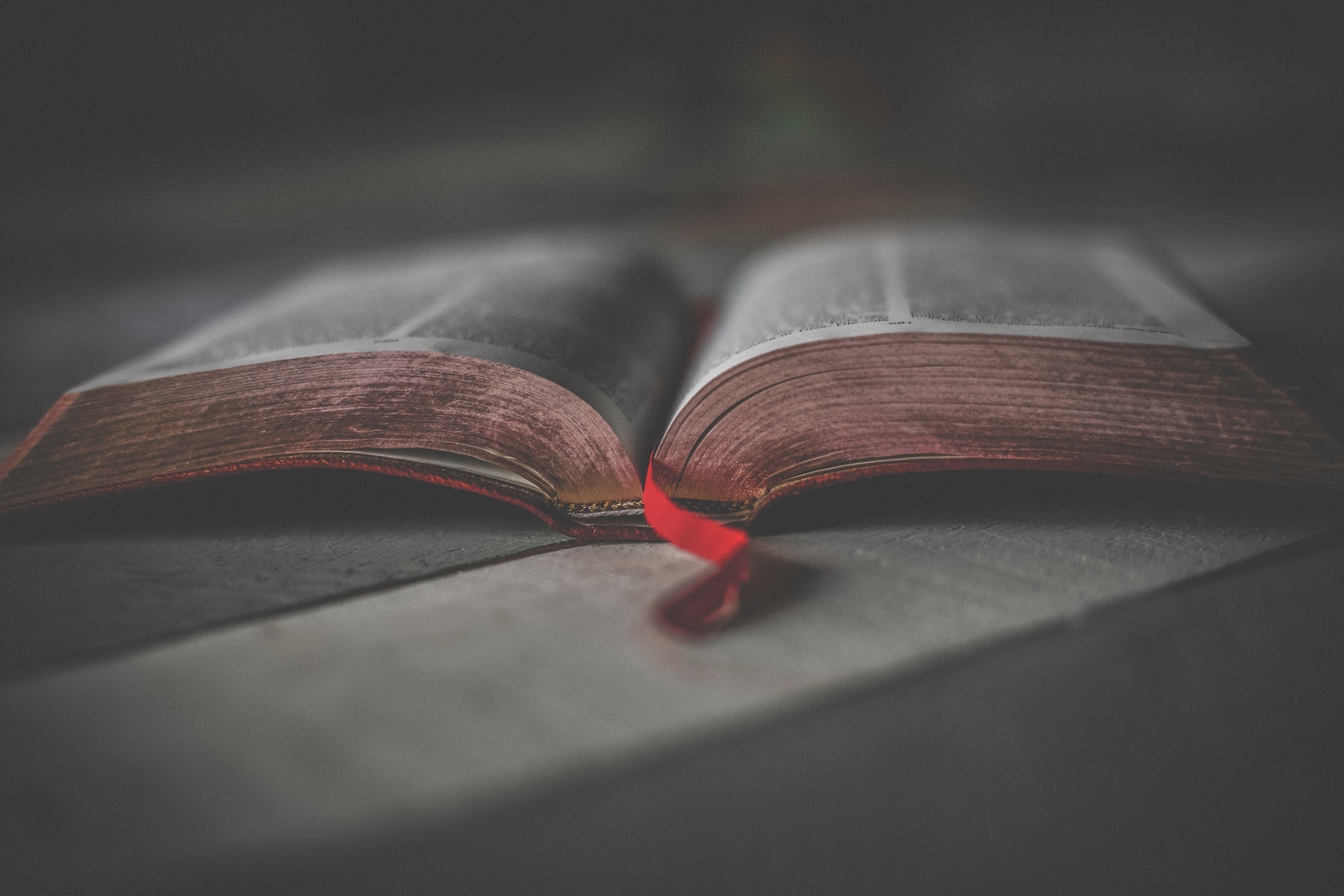 Bible Study Online (Zoom Session) 